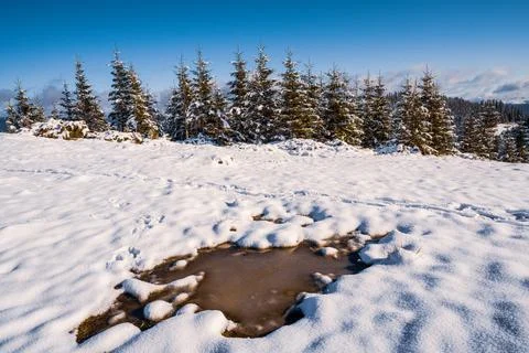 Small puddle of melted snow in the spring sun in the carpathian mountains Stock-Fotos