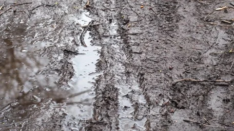A small puddle of water in the mud Stock Footage 340154316