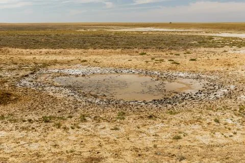 A small puddle of water Stock Photos
