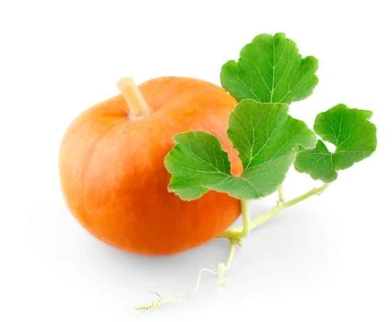 Small pumpkin with leafs Stock-Fotos