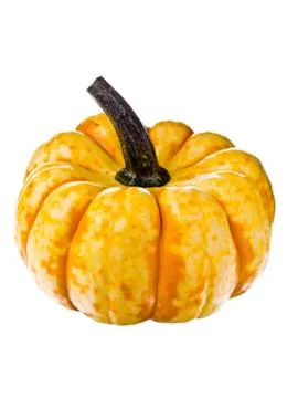 Small pumpkin Stock Photos