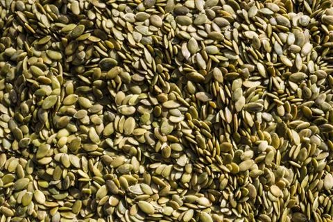 Small pumpkin seeds. Stock Photos