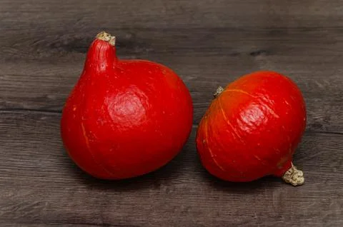 Small pumpkin on the table Stock Photos