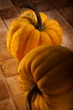 Small pumpkin type squashes Stock Photos