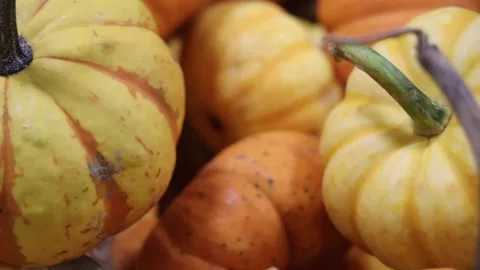 Small pumpkins and gourds pan for a fall backdrop Stock-Footage 136694494