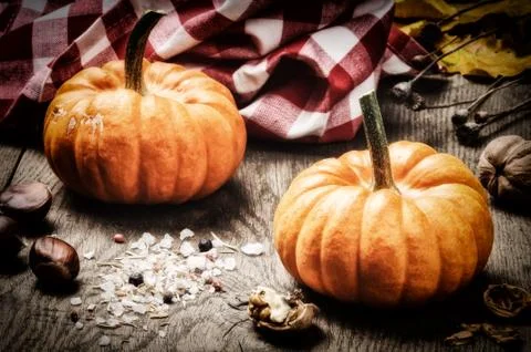 Small pumpkins in autumn setting Stock Photos
