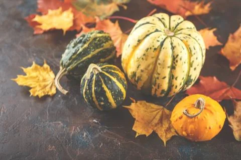 Small pumpkins decorative Stock Photos