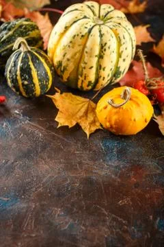 Small pumpkins decorative Stock Photos