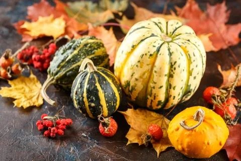 Small pumpkins decorative Stock Photos