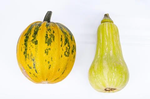 Small pumpkins of different shapes and varieties isolated on white background Stock Photos