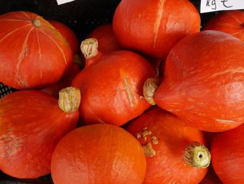 Small pumpkins Stock Photos