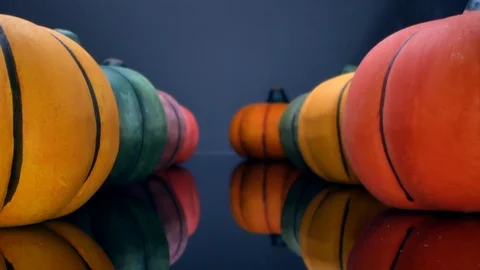 Small pumpkins standing in a row on a black background Stock Footage 126556299