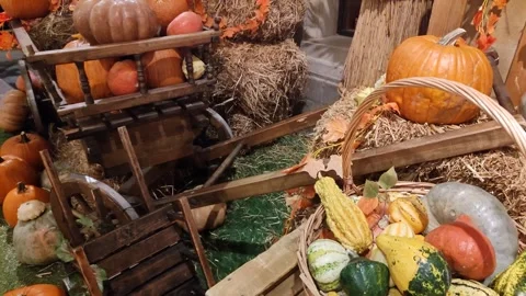 Small pumpkins in a wicker basket Stockbeeldmateriaal 287507476