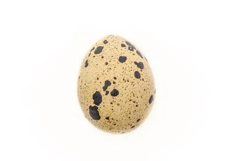 A small quail egg against a white background Stock Photos