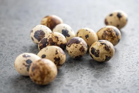 Small quail eggs on the stone background Stock Photos