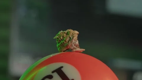 Small quantity of substance on a pool ball, against a blurred background, Stock Footage 263818907