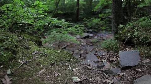 Small quarry Creek Slider Stock Footage 82953830