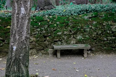 Small Quiet Bench in Forgotten Garden Stock Photos