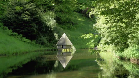 Small quiet pond with duck. Stock Footage 24580624
