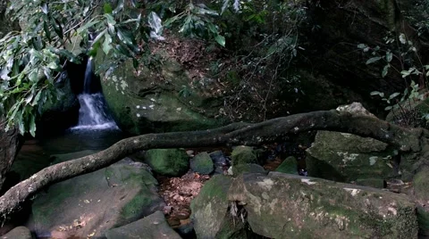 Small rain forest water fall Stock Footage 68418168
