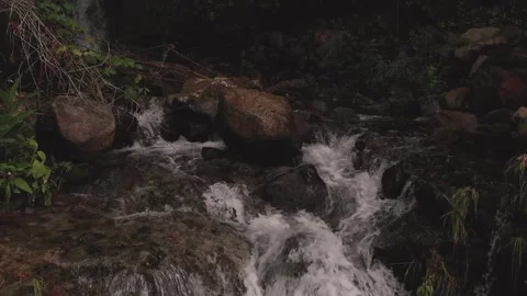 Small rain forest waterfall cascade. HD. Video stock 138716497