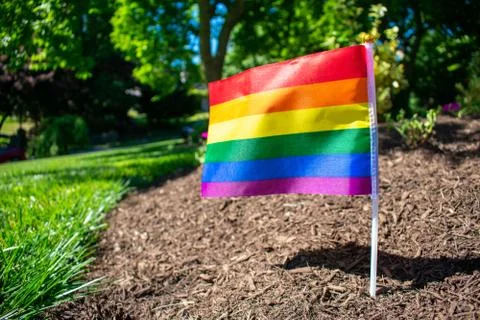 A Small Rainbow Flag on a Front Lawn Stock Photos