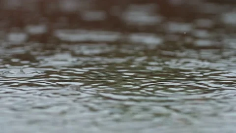 Small raindrops fall into a rain puddle in real time. Video stock 204158899