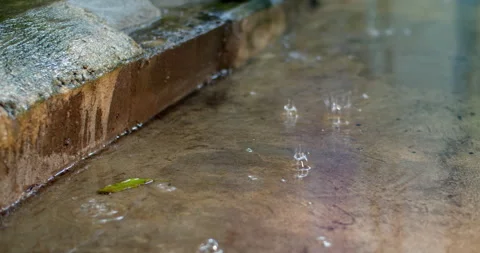 Small raindrops falling and splashing on a puddle of stagnant water. Stock Footage 316487150