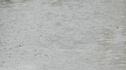 Small raindrops falling into a large puddle Stock Footage 340820151