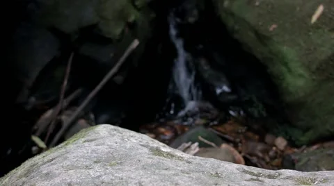 Small rainforest waterfall Vidéo 68507702