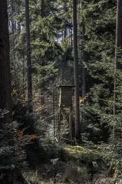 Small raised hide for hunting in the middle of the forest Stock Photos