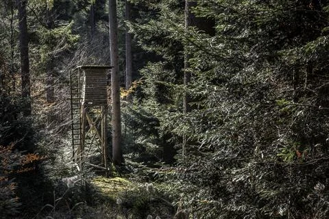 Small raised hide for hunting in the middle of the forest Stock Photos