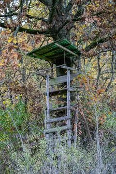 Small raised hide for hunting in the middle of the forest Stock Photos