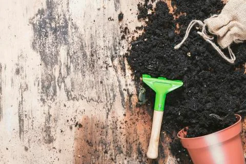Small rake and flower pot with soil Stock Photos