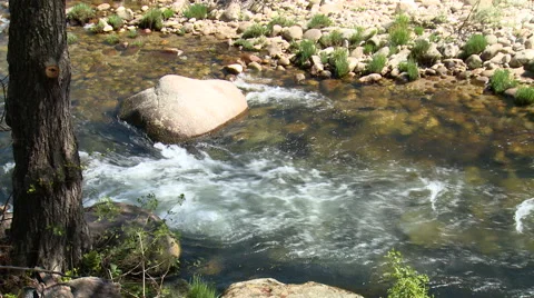 Small rapid created by boulder in river, by tree trunk on shore Stock Footage 49555948
