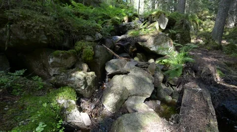 A small rapid in the midst of rocks covered with moss Stock Footage 55724302