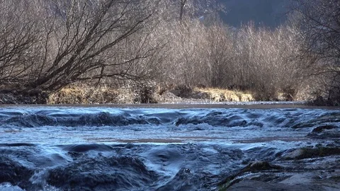 SMALL RAPID ON THE MOUNTAIN RIVER IN WINTER Stockbeeldmateriaal 101075084