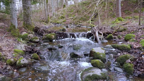 A small, rapid, rocky forest river in spring. European nature in spring. Stock Footage 230072362