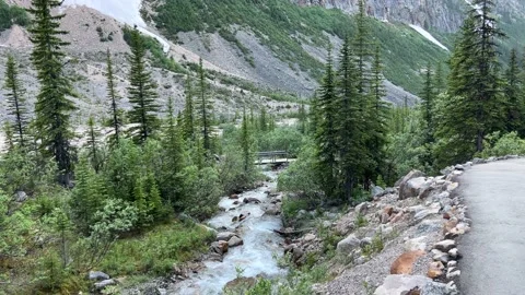 Small, rapidly-moving stream in the mountains. Stock Footage 202295134