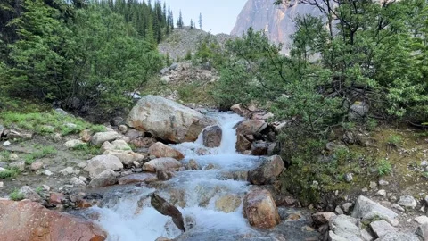 Small, rapidly-moving stream in the mountains. 스톡 동영상 202295170