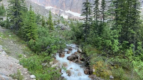Small, rapidly-moving stream in the mountains. Stock Footage 202295189