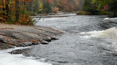 Small rapids and colorful autumn forest at Oxtongue river Stock Footage 55512853