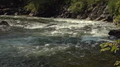Small rapids on the bend of a sunny river in a forest Stock Footage 325756427