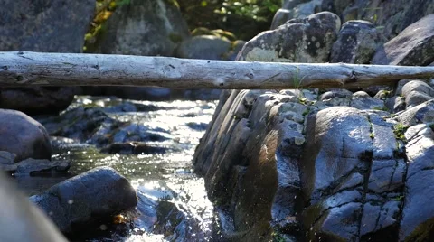 Small rapids with fast moving water running beside rocks 3 Vídeo Stock 62421104