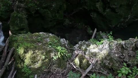 Small rapids Stock Footage 133314019