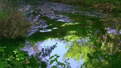 Small rapids ripple the water that flows between the lush vegetation Stock Footage 156623663