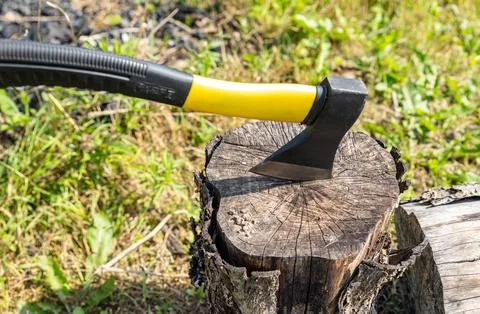 A small, rather heavy ax stuck in a stump for chopping wood. Close-up photogr Stock Photos