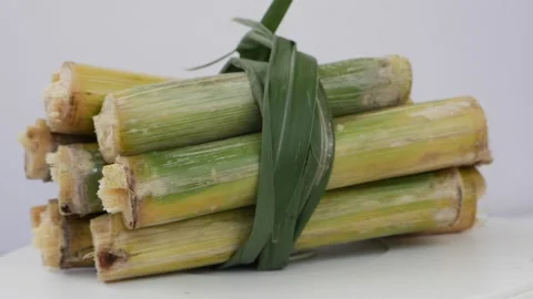 Small raw sugarcane sticks in a bundle isolated over white background Stock-Footage 148219806