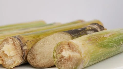 Small raw sugarcane sticks, Rotating shot of raw sugarcane sticks Stockbeeldmateriaal 148219243