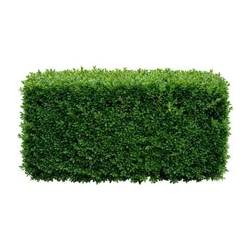 Small rectangular patch of fresh green grass Stockfoto's